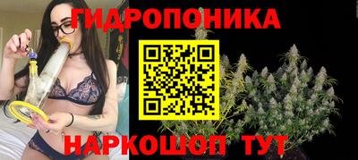 гашишное масло Новокубанск