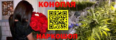 mdma Новодвинск