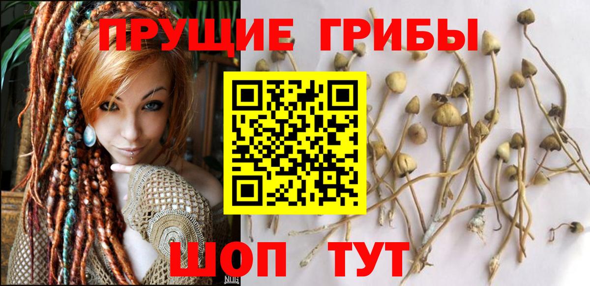 Стрежевой  Галлюциногенные грибы ЛСД  Вход с VPN 